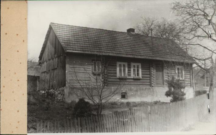 dom, skan 2