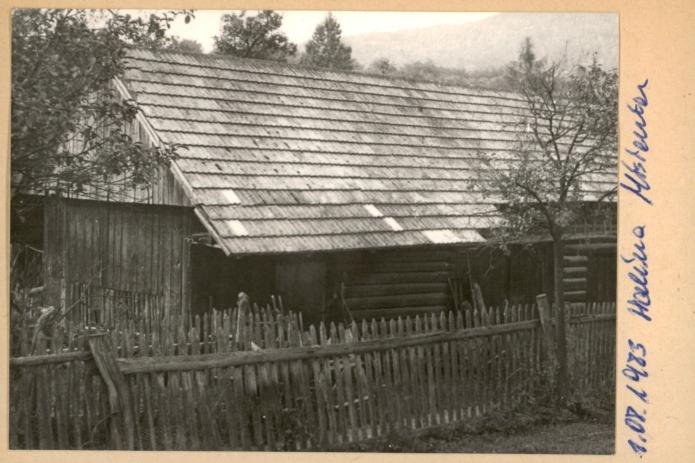 drewutnia, skan 2