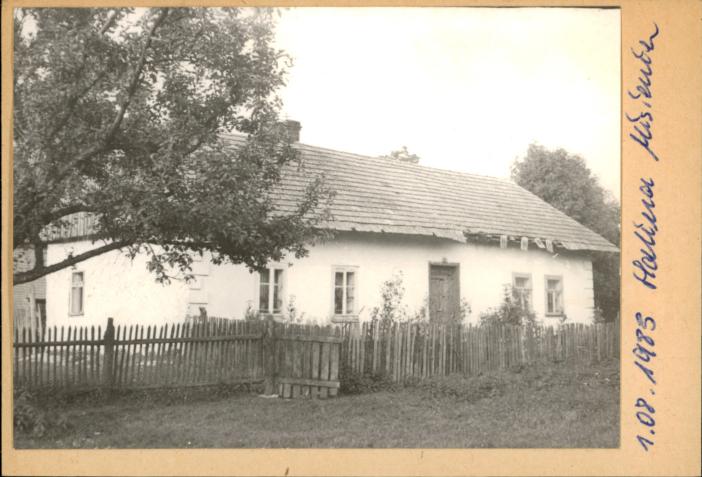 dom, skan 2