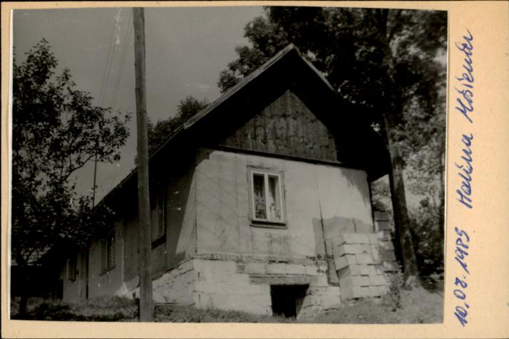 dom, skan 2