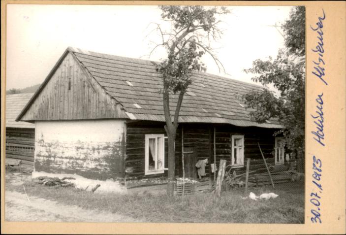 dom, skan 2