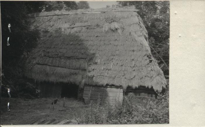 stodoła, skan 2