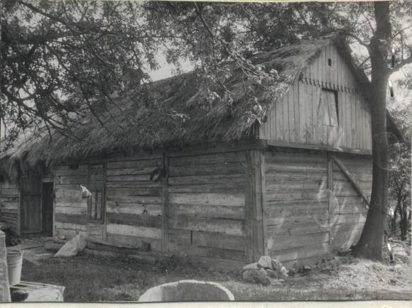 dom, skan 3