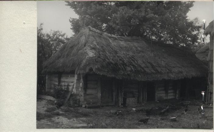 budynek inwentarski, skan 2