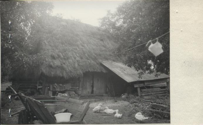 stodoła, skan 2