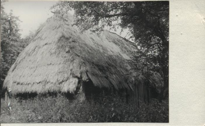 stodoła, skan 2
