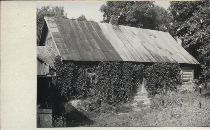 dom, skan 2