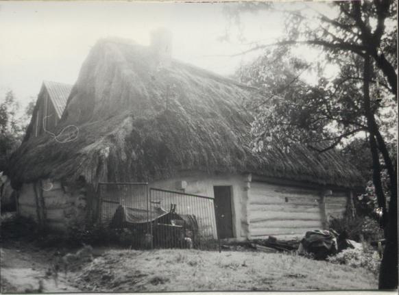 dom, skan 3