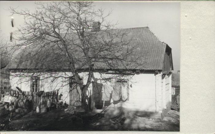 dom, skan 2