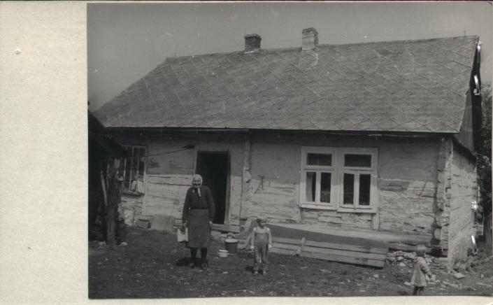 dom, skan 2