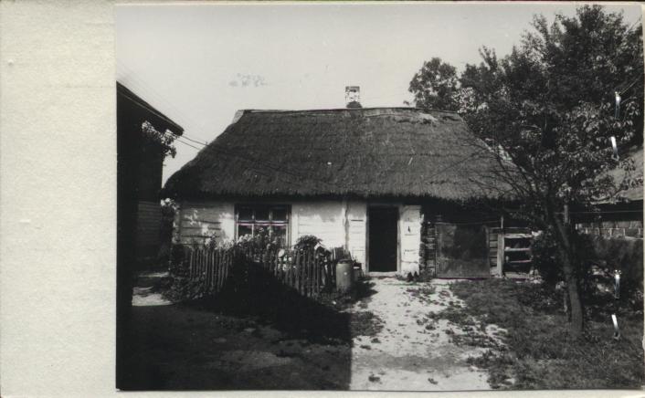 dom, skan 2