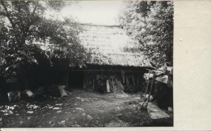 stodoła, skan 2