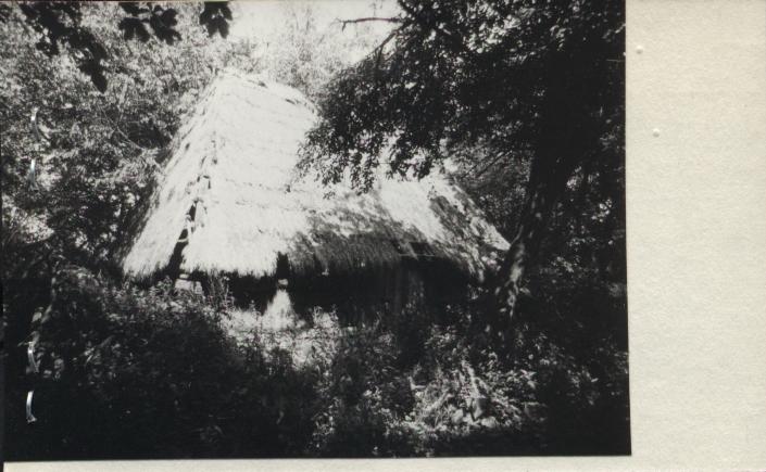 stodoła, skan 2