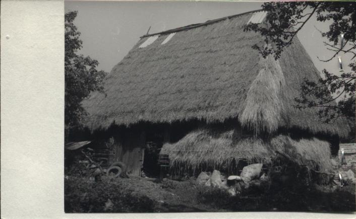 stodoła, skan 2