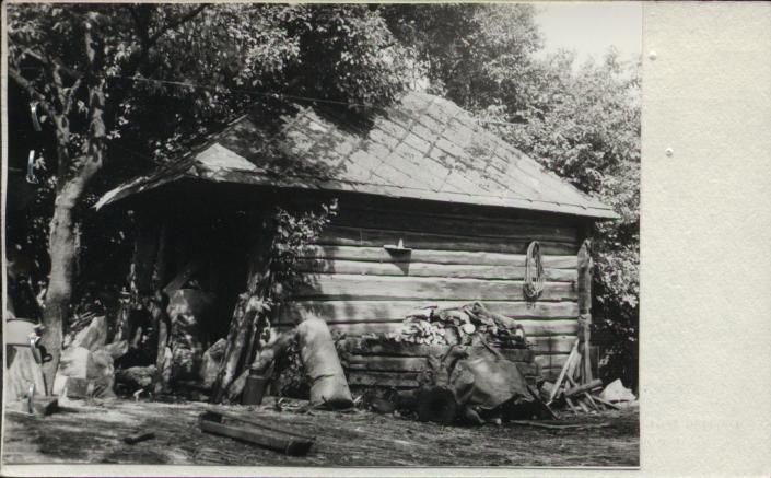 spichlerzyk, skan 2