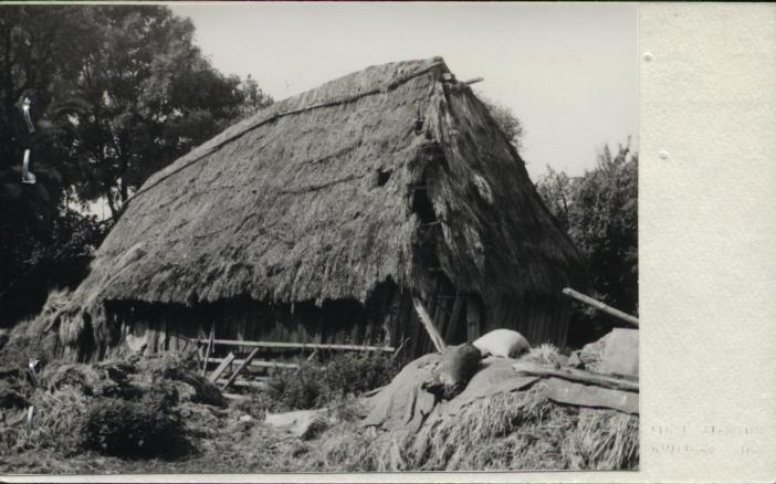 stodoła, skan 2
