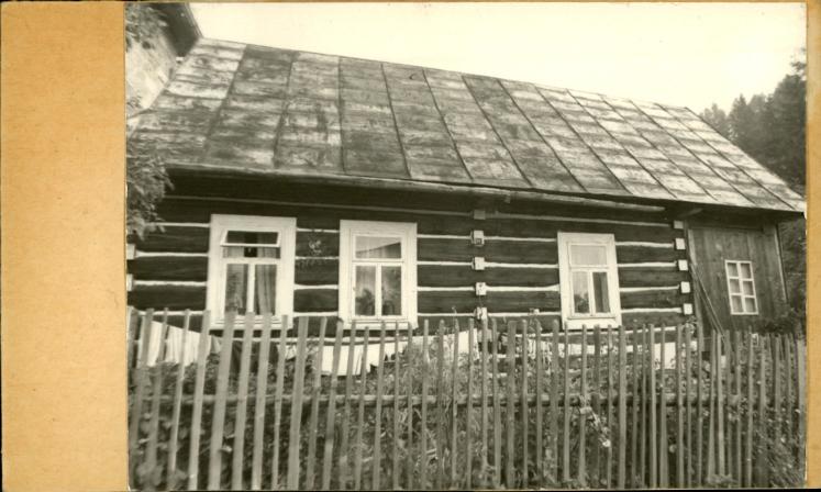 dom, skan 2
