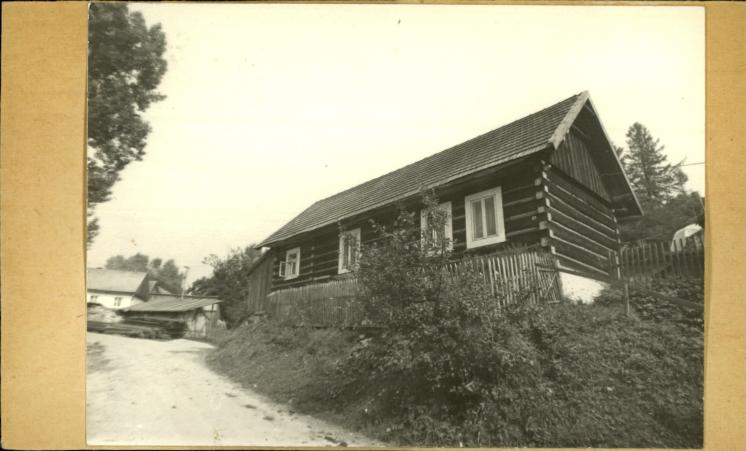 dom, skan 2