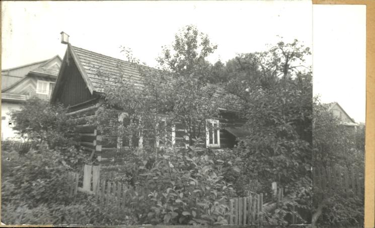 dom, skan 2
