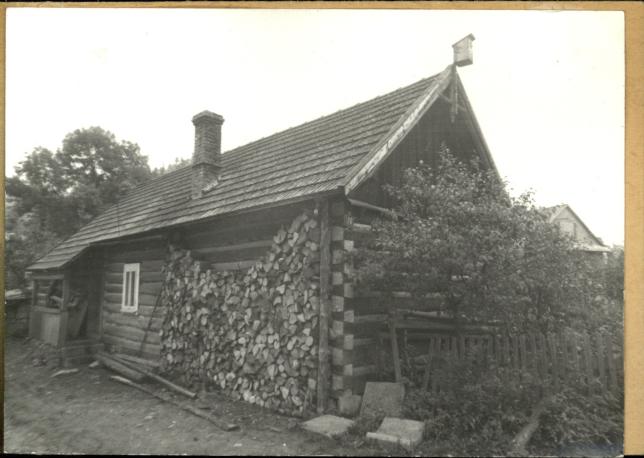 dom, skan 3