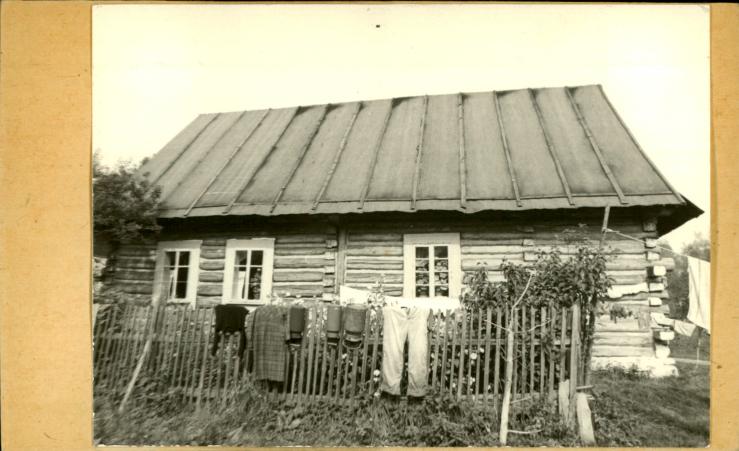 dom, skan 2