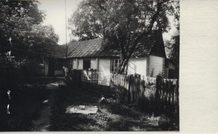 dom, skan 2