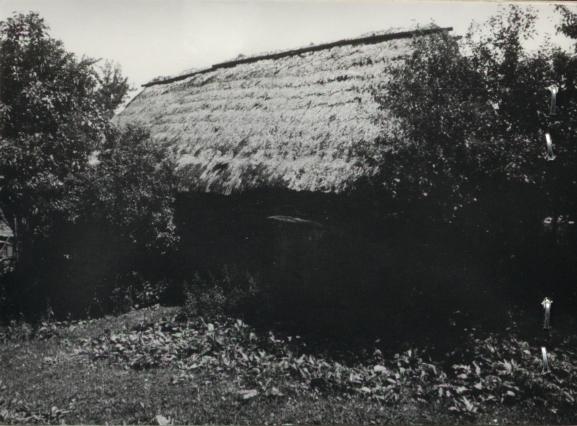 stodoła, skan 2