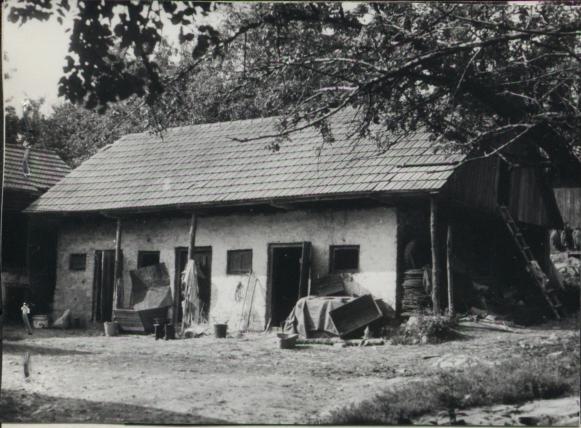 chlew z wozownią, skan 3