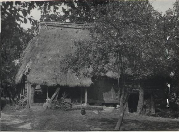 stodoła, skan 2