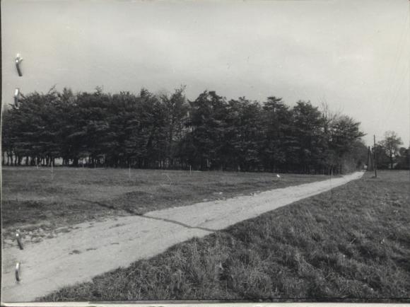 zespół dworski, ob. zagrody nr - 54, 55, 56, skan 2