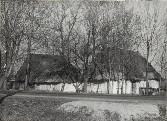 zagroda - dom, obórka, stodoła, skan 2