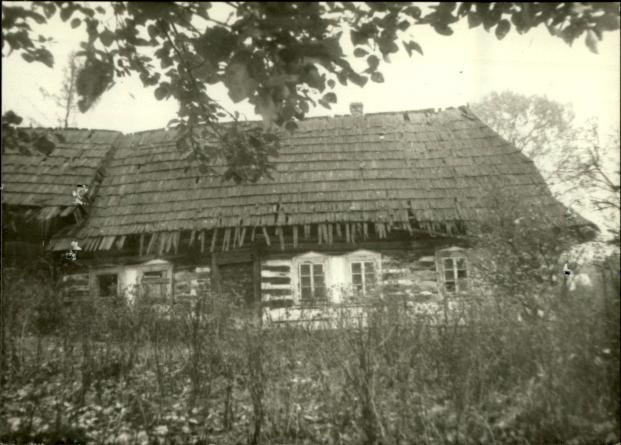 budynek mieszkalny, skan 3