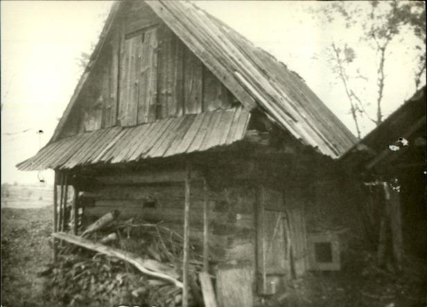 stajnia, skan 3