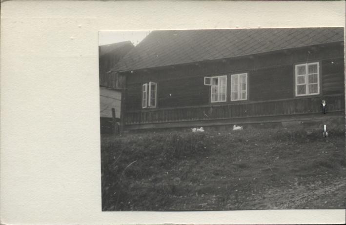 dom, skan 2