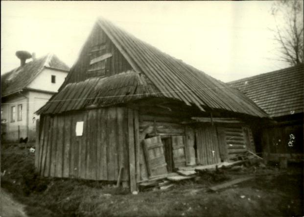 stajnia, skan 3