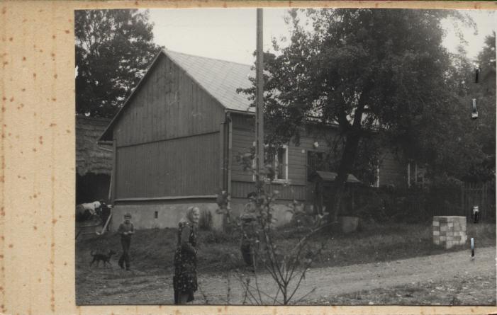dom, skan 2