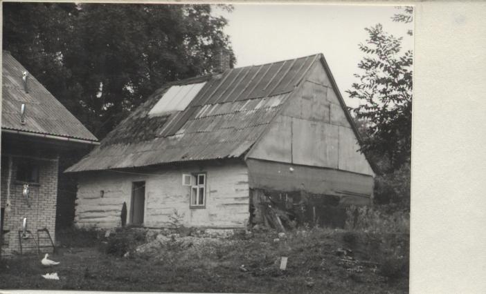 dom, skan 2