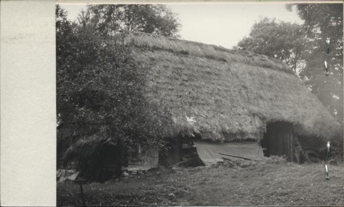 stodoła w zagrodzie, skan 2