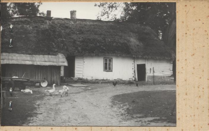 dom w zagrodzie, skan 2