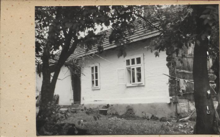 dom, skan 2