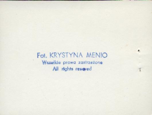 willa Zbyszek, ob. siedziba ODGW, skan 8