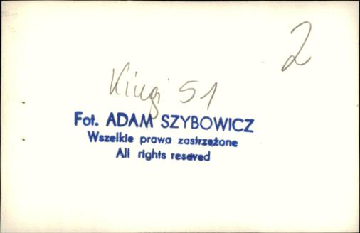 willa Krysia, skan 4