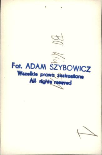 willa Krysia, skan 6