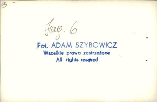 dom, skan 8
