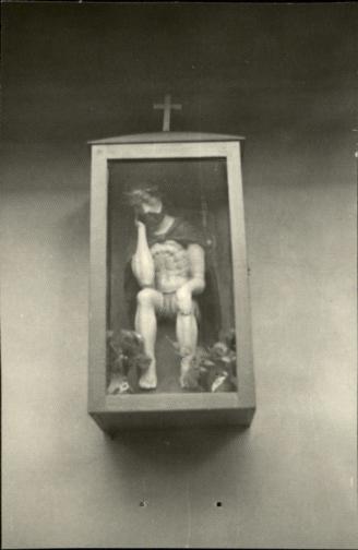 dom, skan 5
