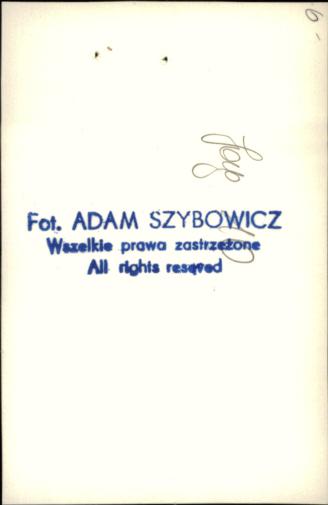 dom, skan 12