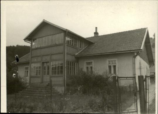 dom, skan 3