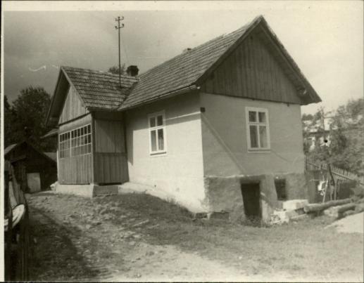 dom, skan 3