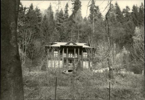 willa, skan 2