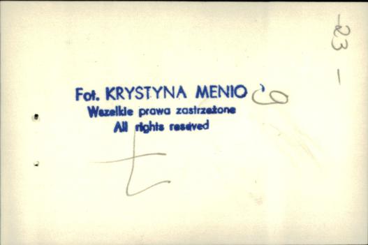 dom, skan 7
